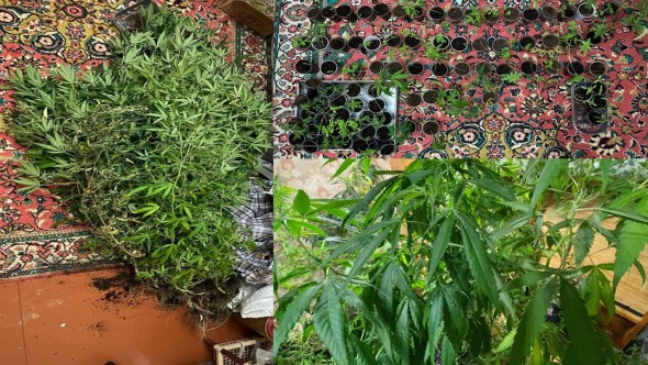 Droguri în valoare de 400 000 lei, depistate și ridicate de polițiști, dintr-un apartament din sectorul Botanica